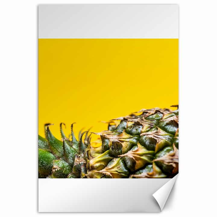 Pineapple Raw Sweet Tropical Food Canvas 20  x 30  