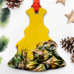 Pineapple Raw Sweet Tropical Food Christmas Tree Ornament (two Sides) by Celenk