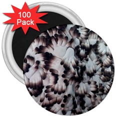 Pattern Wallpaper Organization 3  Magnets (100 Pack) by Celenk