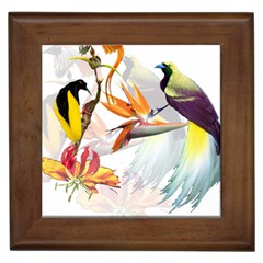 Birds Of Paradise Framed Tiles