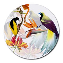 Birds Of Paradise Round Mousepads