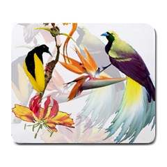 Birds Of Paradise Large Mousepads by TKKdesignsCo