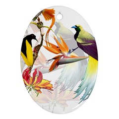 Birds Of Paradise Oval Ornament (two Sides)