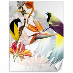 Birds Of Paradise Canvas 12  X 16   by TKKdesignsCo