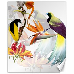 Birds Of Paradise Canvas 16  X 20   by TKKdesignsCo