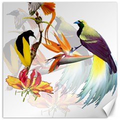 Birds Of Paradise Canvas 20  X 20   by TKKdesignsCo