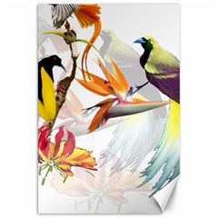 Birds Of Paradise Canvas 20  X 30   by TKKdesignsCo