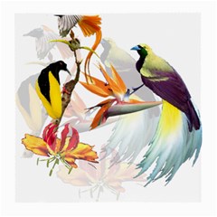 Birds Of Paradise Medium Glasses Cloth by TKKdesignsCo