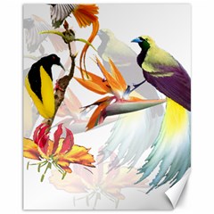 Birds Of Paradise Canvas 11  X 14   by TKKdesignsCo