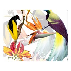 Birds Of Paradise Double Sided Flano Blanket (large)  by TKKdesignsCo