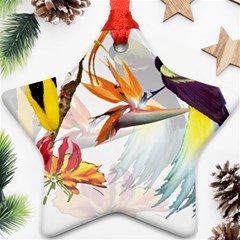 Exotic Birds Of Paradise And Flowers Watercolor Ornament (star)