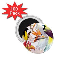 Exotic Birds Of Paradise And Flowers Watercolor 1 75  Magnets (100 Pack)  by TKKdesignsCo