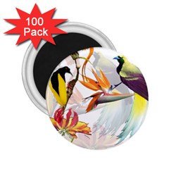 Exotic Birds Of Paradise And Flowers Watercolor 2 25  Magnets (100 Pack)  by TKKdesignsCo