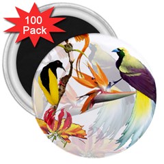 Exotic Birds Of Paradise And Flowers Watercolor 3  Magnets (100 Pack)