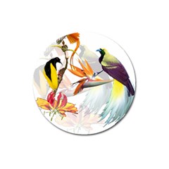 Exotic Birds Of Paradise And Flowers Watercolor Magnet 3  (round)