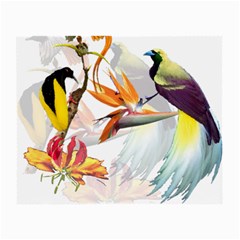 Exotic Birds Of Paradise And Flowers Watercolor Small Glasses Cloth (2-side) by TKKdesignsCo