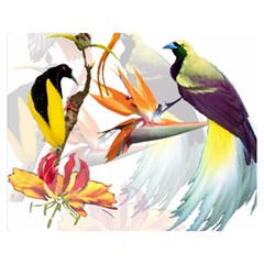 Exotic Birds Of Paradise And Flowers Watercolor Double Sided Flano Blanket (medium)  by TKKdesignsCo