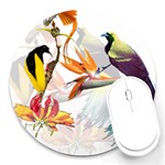 Exotic Birds of Paradise and Flowers Watercolor Round Mousepads Front