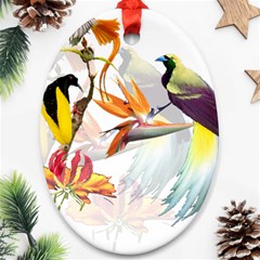 Exotic Birds Of Paradise And Flowers Watercolor Ornament (oval) by TKKdesignsCo