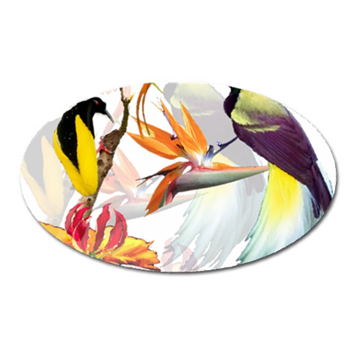 Exotic Birds of Paradise and Flowers Watercolor Oval Magnet