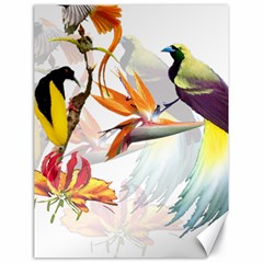 Exotic Birds Of Paradise And Flowers Watercolor Canvas 18  X 24   by TKKdesignsCo