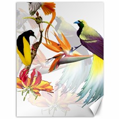 Exotic Birds Of Paradise And Flowers Watercolor Canvas 36  X 48   by TKKdesignsCo