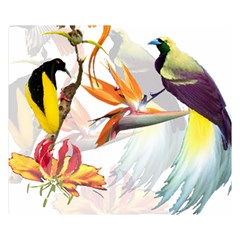 Exotic Birds Of Paradise And Flowers Watercolor Double Sided Flano Blanket (small)  by TKKdesignsCo