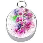 Blackberry Fruit Art Abstract Silver Compasses Front