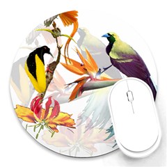 Exotic Birds Of Paradise And Flowers Watercolor Round Mousepads by TKKdesignsCo