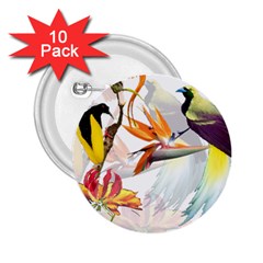 Exotic Birds Of Paradise And Flowers Watercolor 2 25  Buttons (10 Pack)  by TKKdesignsCo