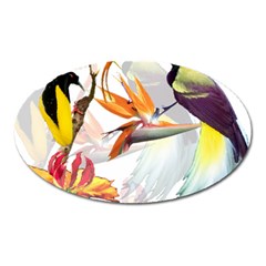 Exotic Birds Of Paradise And Flowers Watercolor Oval Magnet by TKKdesignsCo