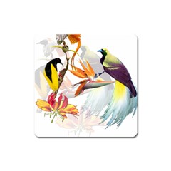 Exotic Birds Of Paradise And Flowers Watercolor Square Magnet by TKKdesignsCo