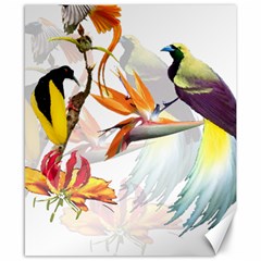 Exotic Birds Of Paradise And Flowers Watercolor Canvas 8  X 10  by TKKdesignsCo