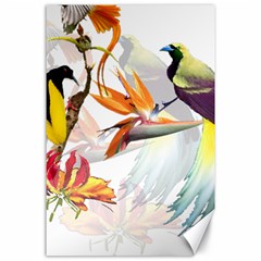 Exotic Birds Of Paradise And Flowers Watercolor Canvas 24  X 36  by TKKdesignsCo