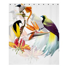 Exotic Birds Of Paradise And Flowers Watercolor Shower Curtain 60  X 72  (medium)  by TKKdesignsCo