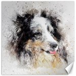 Dog Shetland Pet Art Abstract Canvas 12  x 12   11.4 x11.56  Canvas - 1