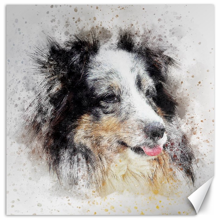 Dog Shetland Pet Art Abstract Canvas 12  x 12  