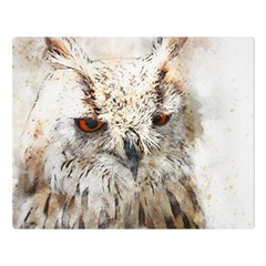 Bird Owl Animal Art Abstract Double Sided Flano Blanket (large)  by Celenk