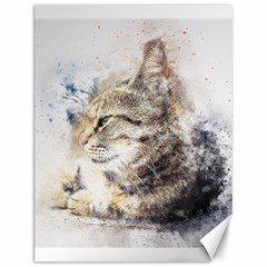 Cat Animal Art Abstract Watercolor Canvas 12  X 16   by Celenk