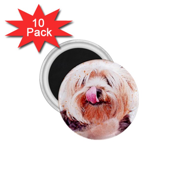 Dog Animal Pet Art Abstract 1.75  Magnets (10 pack) 