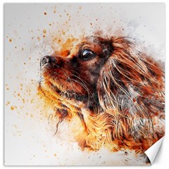 Dog Animal Pet Art Abstract Canvas 12  X 12   by Celenk