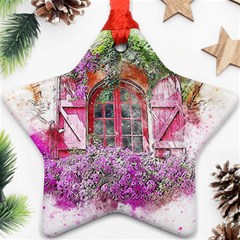 Window Flowers Nature Art Abstract Star Ornament (two Sides) by Celenk