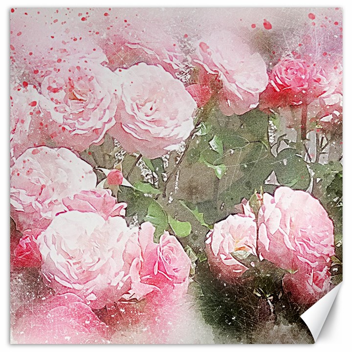 Flowers Roses Art Abstract Nature Canvas 16  x 16  