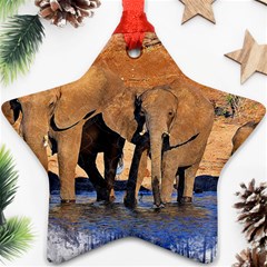 Elephants Animal Art Abstract Star Ornament (two Sides) by Celenk