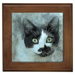 Cat Pet Art Abstract Vintage Framed Tiles Front