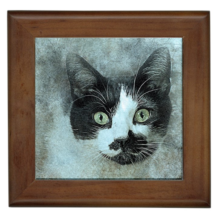 Cat Pet Art Abstract Vintage Framed Tiles