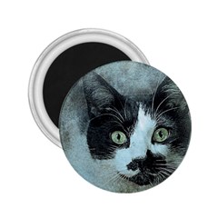 Cat Pet Art Abstract Vintage 2 25  Magnets by Celenk