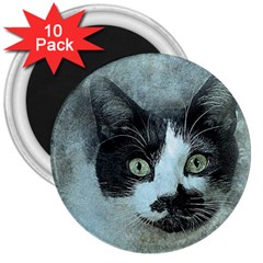 Cat Pet Art Abstract Vintage 3  Magnets (10 Pack)  by Celenk