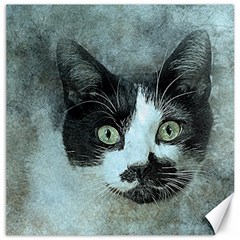 Cat Pet Art Abstract Vintage Canvas 12  X 12   by Celenk