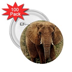 Elephant Animal Art Abstract 2 25  Buttons (100 Pack)  by Celenk